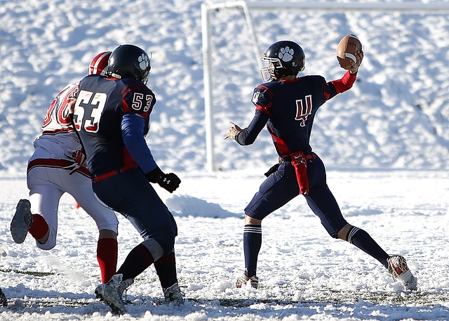 场多特蒙德 场多特蒙德
