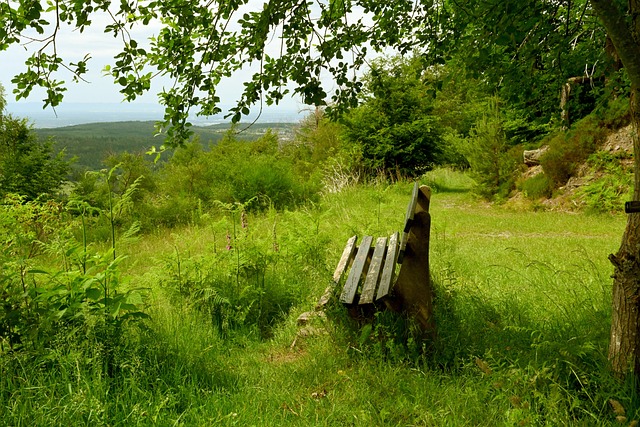 比赛细节之 比赛细节之