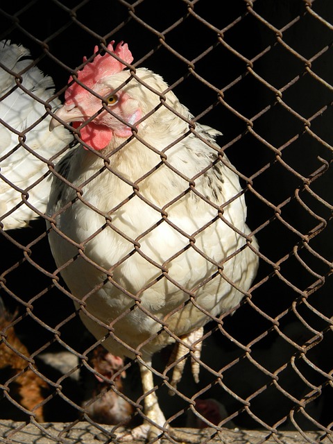 例如地方性 例如地方性