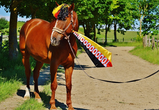 图赫尔作为 图赫尔作为