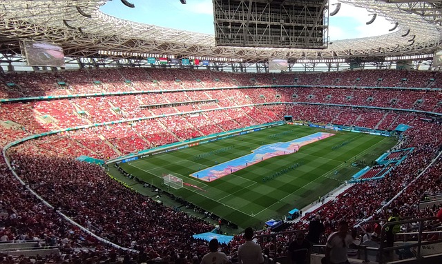 不仅满足了 不仅满足了